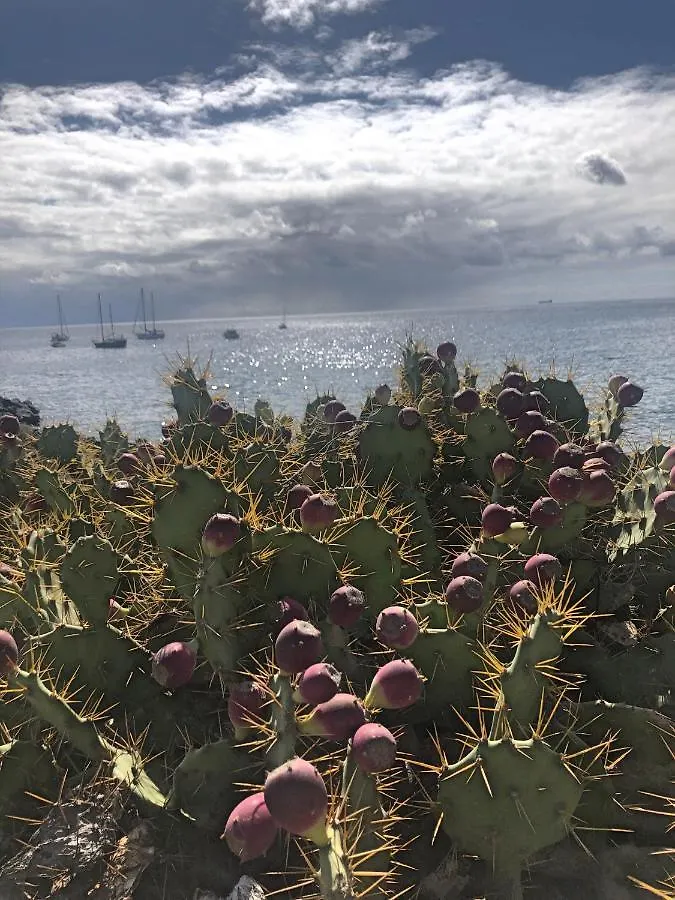 Villa Casa Soleada Arona  Сasa de vacaciones